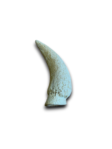 Anco Cow Horn Marrows *SALE* - Skyvana Ltd