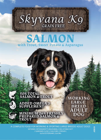 Grain Free Large Breed Salmon with Trout, Sweet Potato & Asparagus - Skyvana Ltd